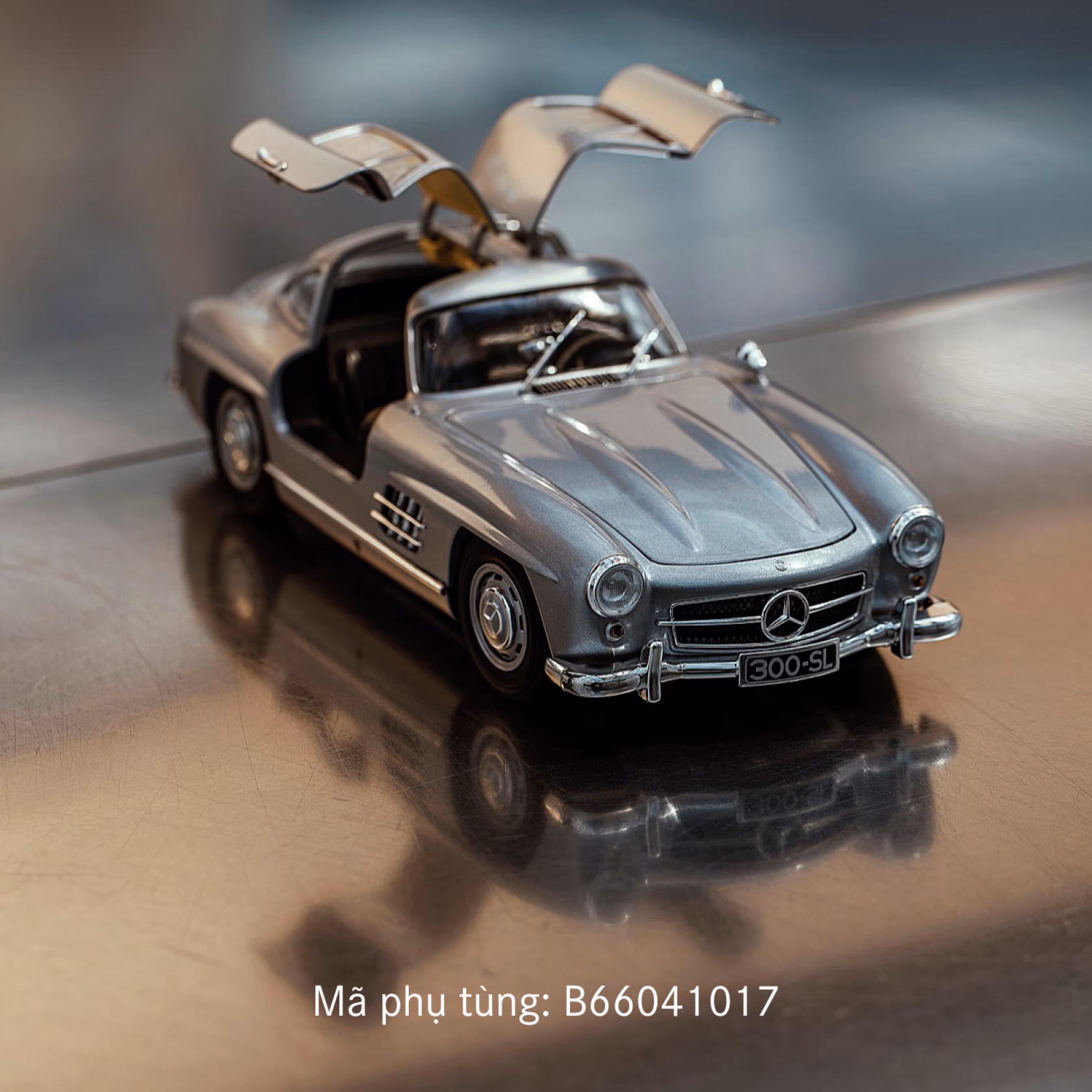 VI ModelCar 1